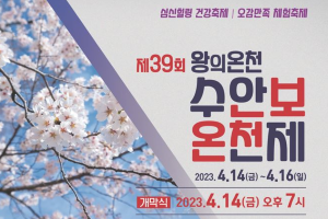 힐링온천, 제39회 수안보온천제 14일 개막