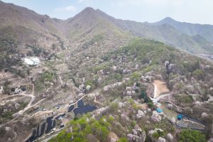 ‘산꽃길 걷고 건강 챙기고!’…금산군, 비단고을 산꽃축제 15~16일 개최