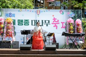  재미와 힐링을 동시에! 제9회 거제 맹종 대나무 축제