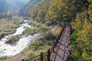 영동군, 봄의 끝자락에서 느리게 느껴보는 달의 향기, ‘암튼 걷는 겨 월류봉 둘레길’