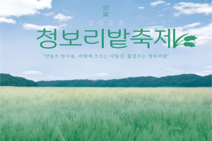 푸른 청보리밭에서 만나는 힐링, 2023 안동 청보리밭 축제 개최