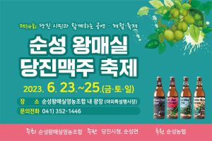 순성 왕 매실&당진 맥주 축제로 놀러 오세요!