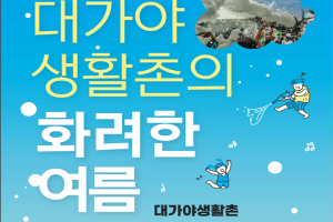 고령군, 『대가야 생활촌의 화려한 여름』운영