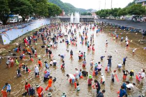  단양군 매화골 Hot Summer Festival 축제 피서객 ‘유혹’