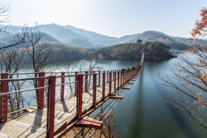 설 연휴, 파주로 놀러오세용(龍)…무료입장, 다양한 행사 가득