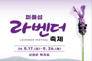 신안 퍼플섬! 2천만 송이 라벤더 꽃 축제 개최 