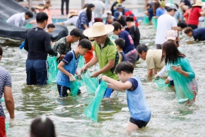 보성군, 오감만족 제대로~ 제16회 보성전어축제 8월 16일 개막