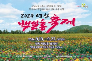 평창군, 풍성한 가을의 시작, 2024 평창백일홍축제 개막