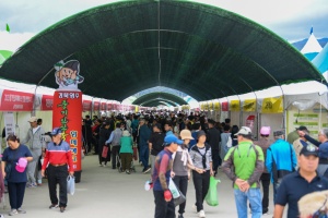 영주시, 천년건강 풍기인삼, 2024경북영주풍기인삼축제 10월 5일 개막