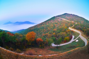 예산군, 올 가을 걷기 좋은 오색단풍 명품숲길 선정!