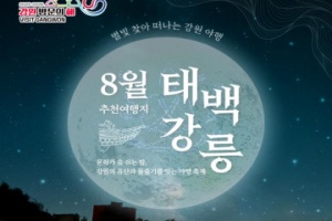 강원 방문의 해 8월 추천 여행지 ‘태백, 강릉’
