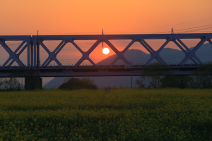 김해낙동강레일파크, `선셋 레일바이크` 운영 