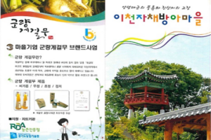 이천시의 숨은 보석 '자채방아마을', 감성 여행 핫플레이스 