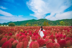 경남도, 걸음마다 물드는 가을, 경남 여행지 18곳 