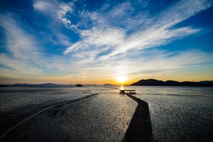 ‘2025 세계유산축전 선암사, 순천갯벌’ 개막식 개최