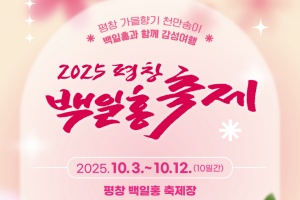 천만 송이 백일홍꽃밭, 평창 백일홍축제 10월 3일 개막 