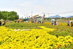 장성군 ‘가을 화(花)담’ ‘황룡강 가을꽃축제’ 10월 18~26일 