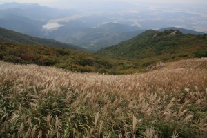 2025년 가을, 서해의 보석 보령에서 만나는 단풍 명산 7선