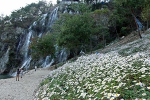 제18회 구절초 축제 14일 개막, 볼거리·먹거리·즐길 거리 ‘풍성’