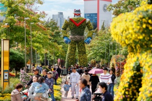 가을꽃 7,000만 송이 향연, 유성국화축제 개최