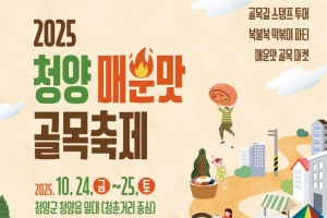 청양 매운맛 골목축제, 10월 24일~25일 개최