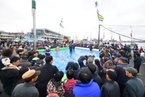 깊어가는 가을, 바다와 맛이 있는 여행지‘울진’