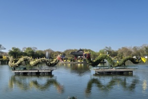 가을향기 가득, 제22회 백제고도부여국화축제 31일 개막