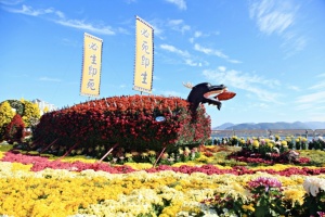 창원시, ‘국화에 이끌려 가을을 만나다’ 마산가고파국화축제 11월 1일 개막