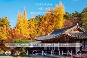 강원 방문의 해, 11~12월 '특별 추천 여행지'로 강릉 추가 선정