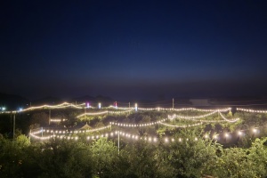 제5회 고흥유자축제 야간경관 사전 개방