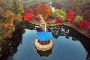 정읍시, 가을 명소 정읍 내장산, 고운 단풍 빛깔 뽐내…