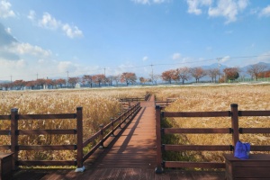 양양 해파랑길 44코스 걷기 참여자 모집