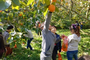 전남도, 11월 농촌체험휴양마을에 곡성 가정마을