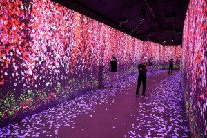 김해낙동강레일파크, 한겨울에도 나들이 명소 1순위