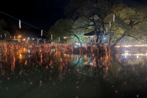 경남도, 함안 낙화놀이, 2025 한국관광의 별 선정 쾌거