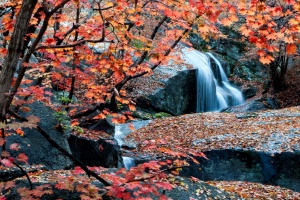 광양시, 올가을 여행의 마지막 페이지는 ‘광양 백운산’
