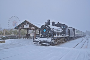 곡성 섬진강기차마을 크리스마스 특별 이벤트 