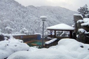 연말연시 온천·일출·미식 겨울 울진의 매력
