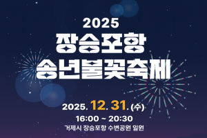 거제시, ‘2025 장승포항 송년불꽃축제’ 개최