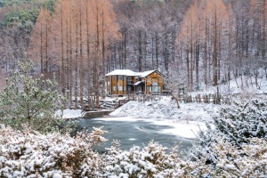 논산시, 4계절 꽃 피는 온빛수목원 조성, 관광객 발길 잡는다 