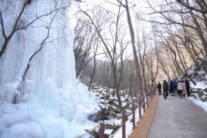 춘천 구곡폭포 빙벽, 겨울 관광콘텐츠로 급부상
