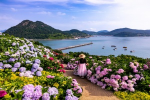 고흥군 쑥섬, 문체부 로컬100 선정... 관광 브랜드 경쟁력 강화