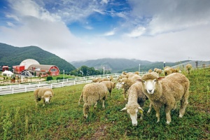 증평투어패스, 2월 13일 판매 재개, 최대 82% 할인 혜택 