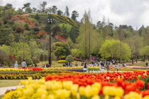 순천만국가정원, 화려한 정원과 함께 봄의 서막 연다! 