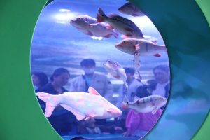 충주아쿠아리움, 누적 관람객 20만 명 돌파, 대표명소로 자리매김