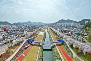 정읍시, 4월 3일~5일 벚꽃축제 개막…다채로운 공연·먹거리 풍성