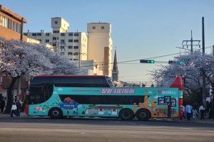 창원시, 진해군항제 ‘벚꽃 투어버스’ 특별 운행