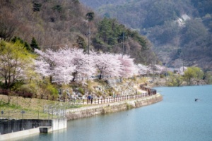 증평 좌구산휴양랜드, 봄 힐링 관광지로 각광