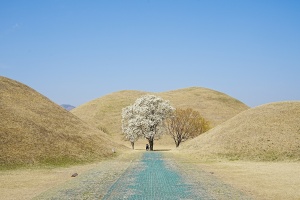 역사문화자원과 계절 풍경 어우러진 경주 산책길 추천 