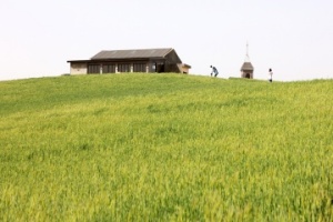 보령시, 드라마·영화 속 그 장소! 봄나들이 여행지로 제격
